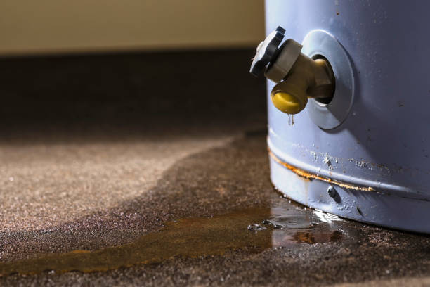 Best Local water damage restoration  in Nikiski, AK