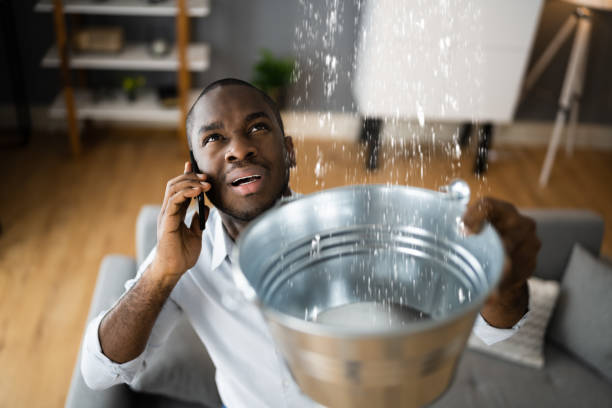 Carpet water damage restoration in Nikiski, AK
