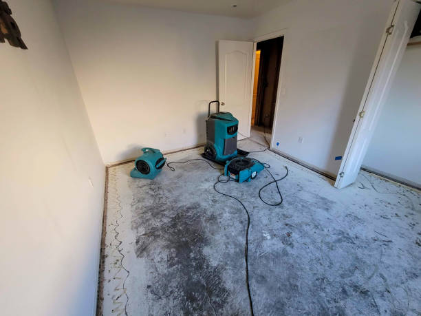 Best Emergency water damage restoration  in Nikiski, AK
