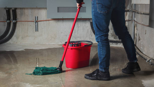 Best Water damage restoration near me  in Nikiski, AK
