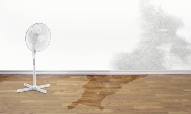 Best Emergency water damage restoration  in Nikiski, AK