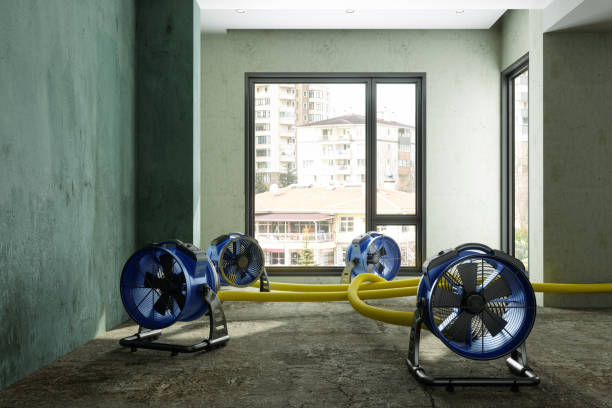 Best Ceiling water damage repair  in Nikiski, AK